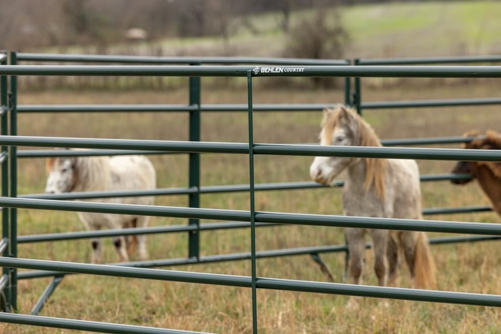 Panels & Walk Throughs - Behlen Country Pioneer Corral Panels - Behlen Country