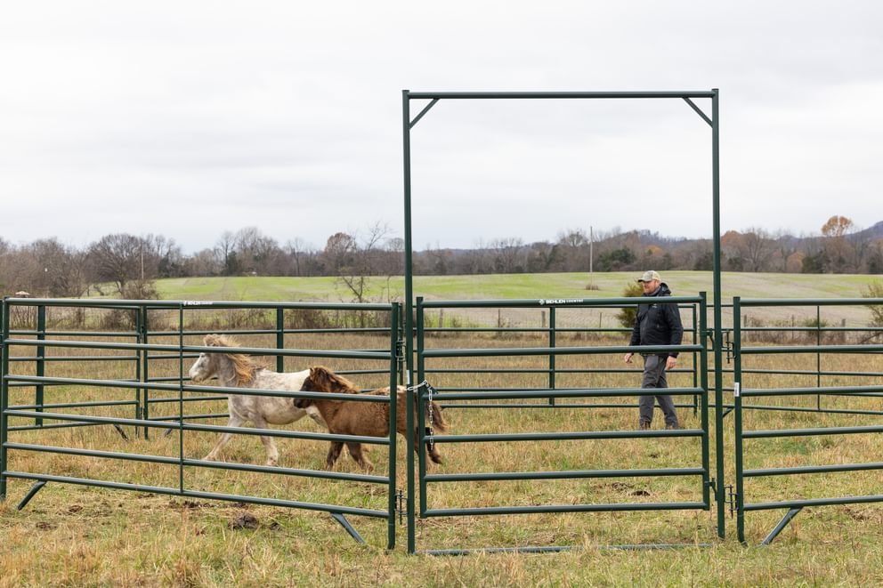 Panels & Walk Throughs - Behlen Country Pioneer Corral Panels - Behlen Country