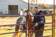 Panels & Walk Throughs - Behlen Country Pioneer Corral Panels - Behlen Country