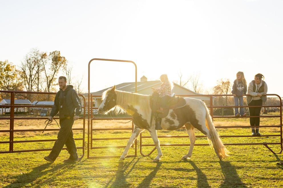 Panels & Walk Throughs - Behlen Country Pioneer Corral Panels - Behlen Country