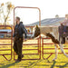 Panels & Walk Throughs - Behlen Country Pioneer Corral Panels - Behlen Country