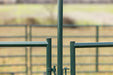 Panels & Walk Throughs - Behlen Country Pioneer Corral Panels - Behlen Country