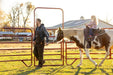Panels & Walk Throughs - Behlen Country Pioneer Corral Panels - Behlen Country