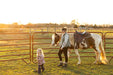 Panels & Walk Throughs - Behlen Country Pioneer Corral Panels - Behlen Country