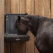 Wall Feeders - Behlen Country Poly Pro Wall Feeder - Behlen Country