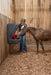 Wall Feeders - Behlen Country Poly Pro Wall Feeder - Behlen Country