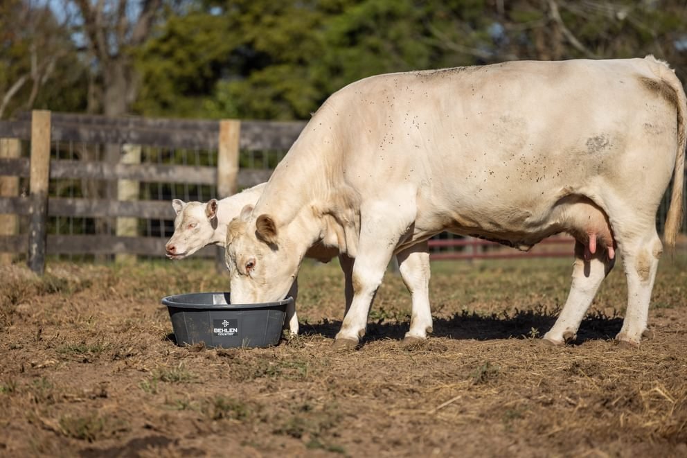 Waterers - Behlen Country Poly Round Tub - Behlen Country