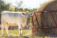 Bale Feeders - Behlen Country ProStock Feeder - Behlen Country