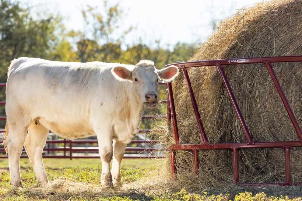 Bale Feeders - Behlen Country ProStock Feeder - Behlen Country