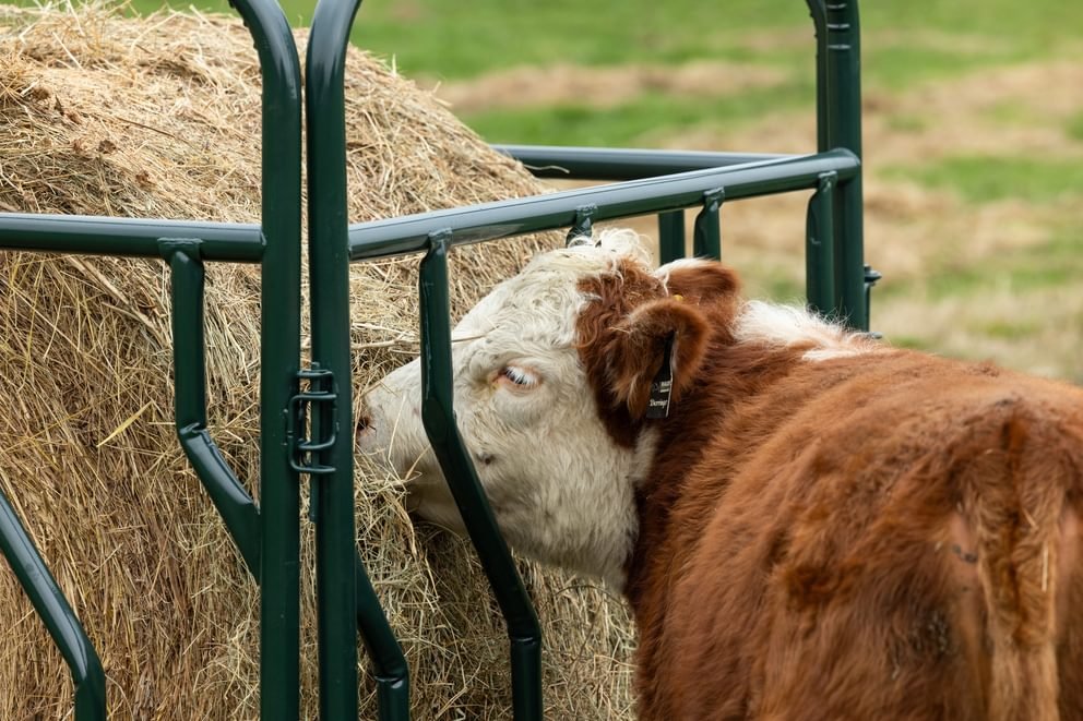 Panels & Gates - Behlen Country RangeMax Feeder Panels - Behlen Country
