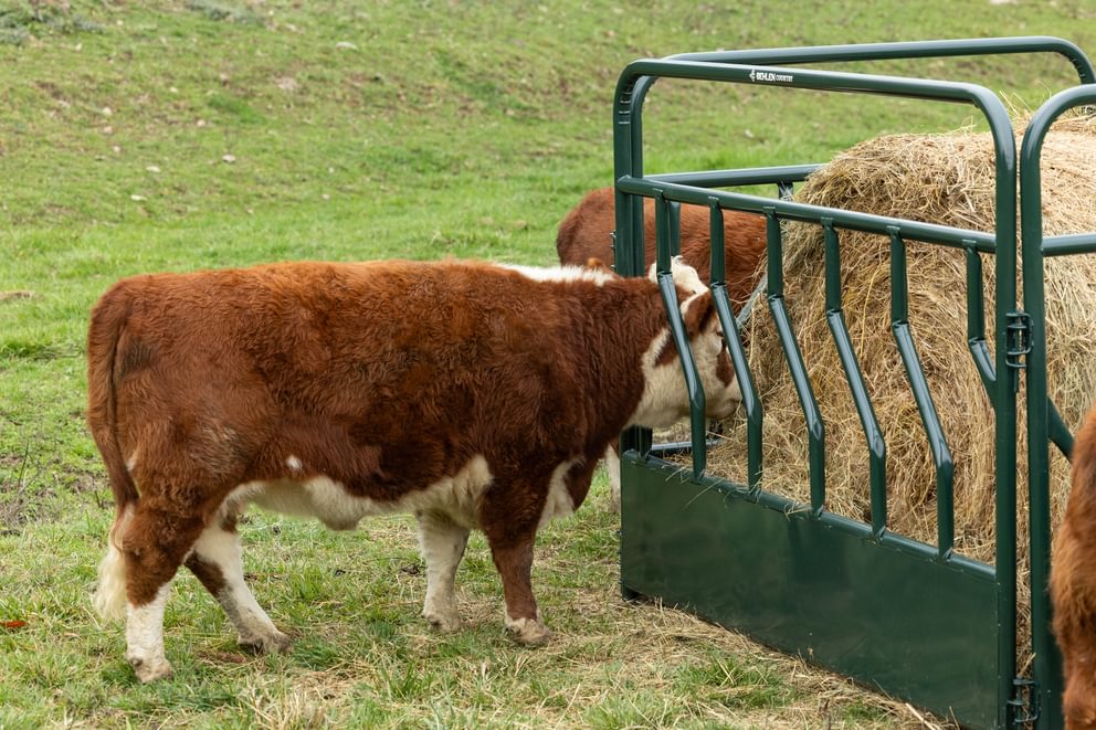 Panels & Gates - Behlen Country RangeMax Feeder Panels - Behlen Country