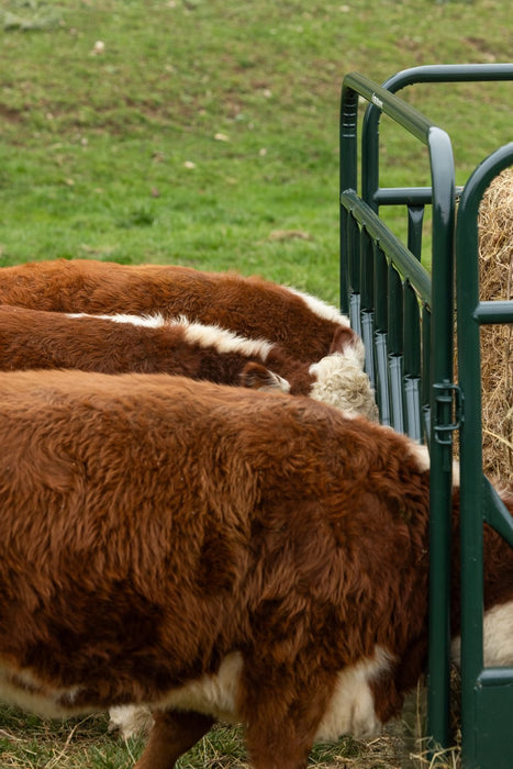Panels & Gates - Behlen Country RangeMax Feeder Panels - Behlen Country