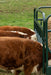 Panels & Gates - Behlen Country RangeMax Feeder Panels - Behlen Country