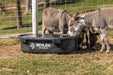 Waterers - Behlen Country Rigid Poly Stock Tank - Behlen Country