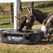 Waterers - Behlen Country Rigid Poly Stock Tank - Behlen Country