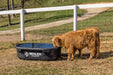 Waterers - Behlen Country Rigid Poly Stock Tank - Behlen Country