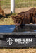 Waterers - Behlen Country Rigid Poly Stock Tank - Behlen Country