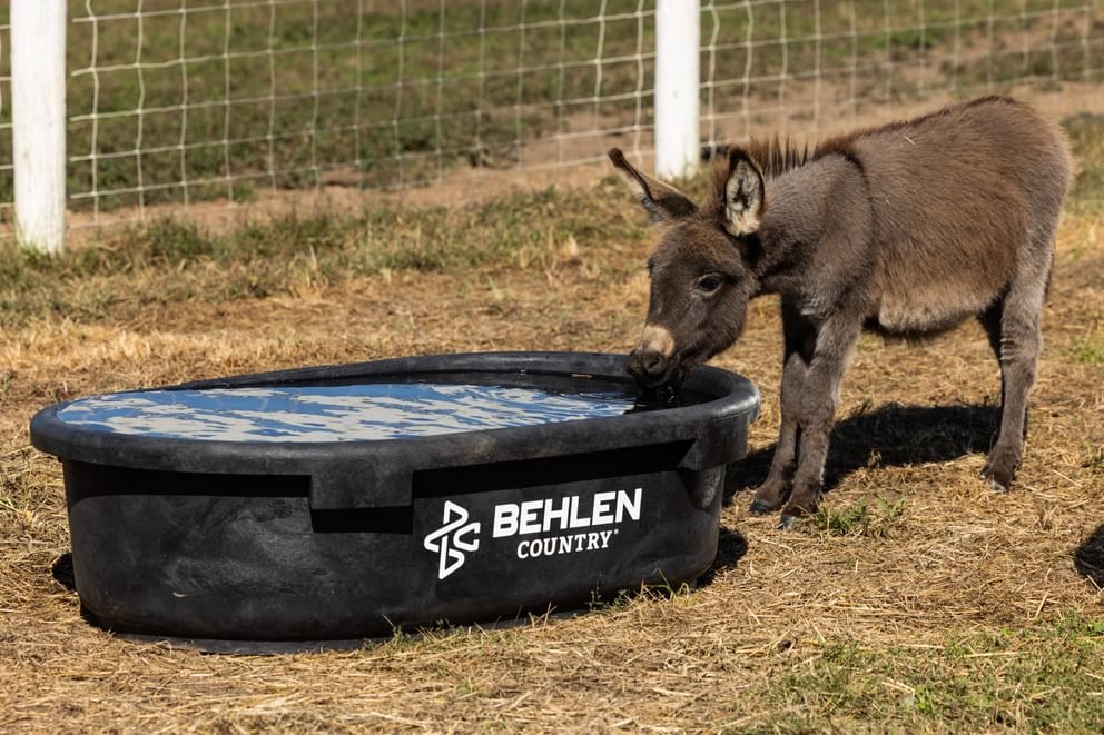 Waterers - Behlen Country Rigid Poly Stock Tank - Behlen Country