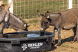 Waterers - Behlen Country Rigid Poly Stock Tank - Behlen Country