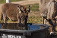 Waterers - Behlen Country Rigid Poly Stock Tank - Behlen Country