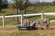 Waterers - Behlen Country Rigid Poly Stock Tank - Behlen Country
