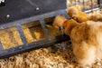 Creep Feeder - Behlen Country SafeStart Poly Creep Feeder - Behlen Country