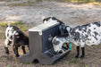 Creep Feeder - Behlen Country SafeStart Poly Creep Feeder - Behlen Country