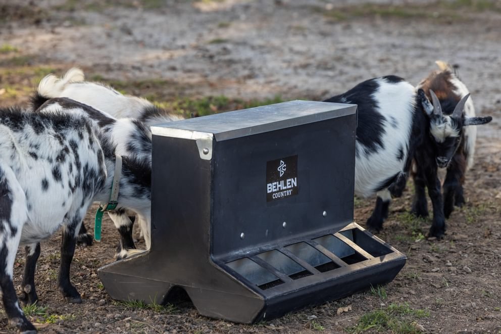 Creep Feeder - Behlen Country SafeStart Poly Creep Feeder - Behlen Country