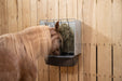 Wall Feeders - Behlen Country StablePro Wall Feeder - Behlen Country