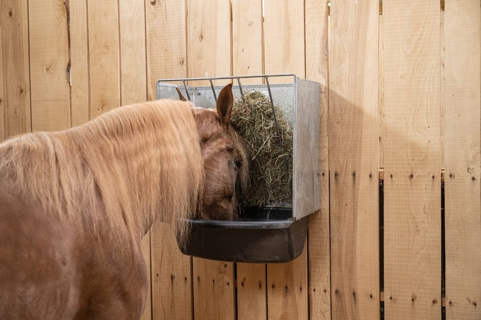 Wall Feeders - Behlen Country StablePro Wall Feeder - Behlen Country