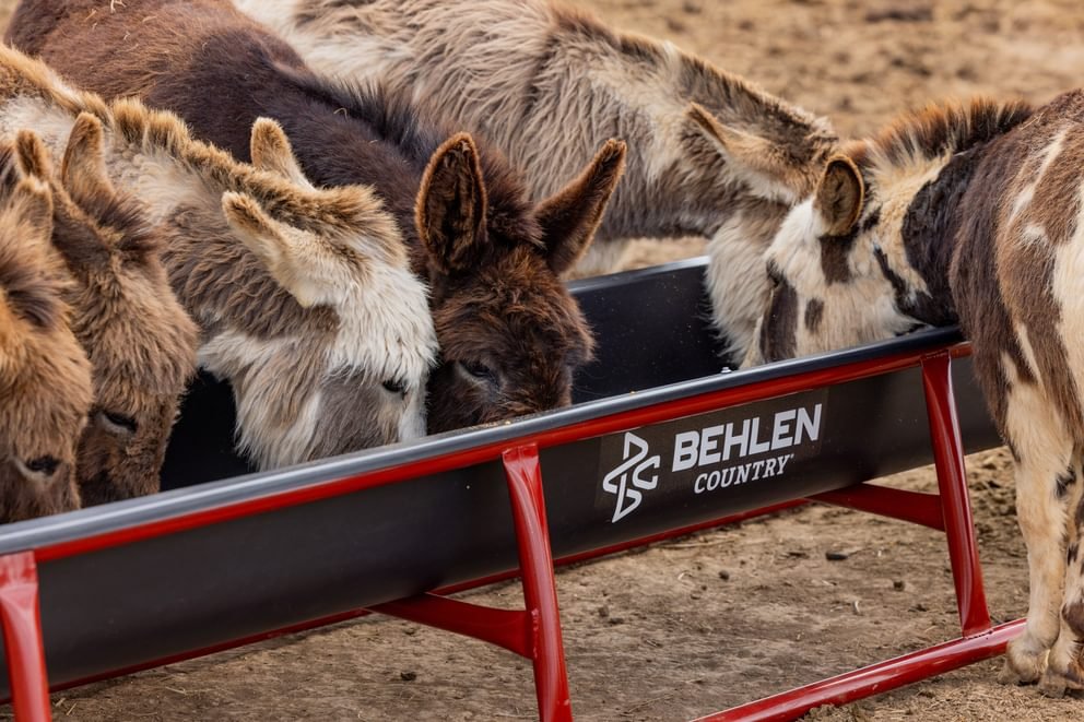 Bunk Feeders - Behlen Country Stockman 10' Elite Bunk Feeder - Behlen Country