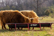 Bunk Feeders - Behlen Country Stockman 10' Elite Bunk Feeder - Behlen Country