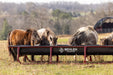 Bunk Feeders - Behlen Country Stockman 10' Elite Bunk Feeder - Behlen Country