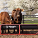 Bunk Feeders - Behlen Country Stockman 10' Elite Bunk Feeder - Behlen Country
