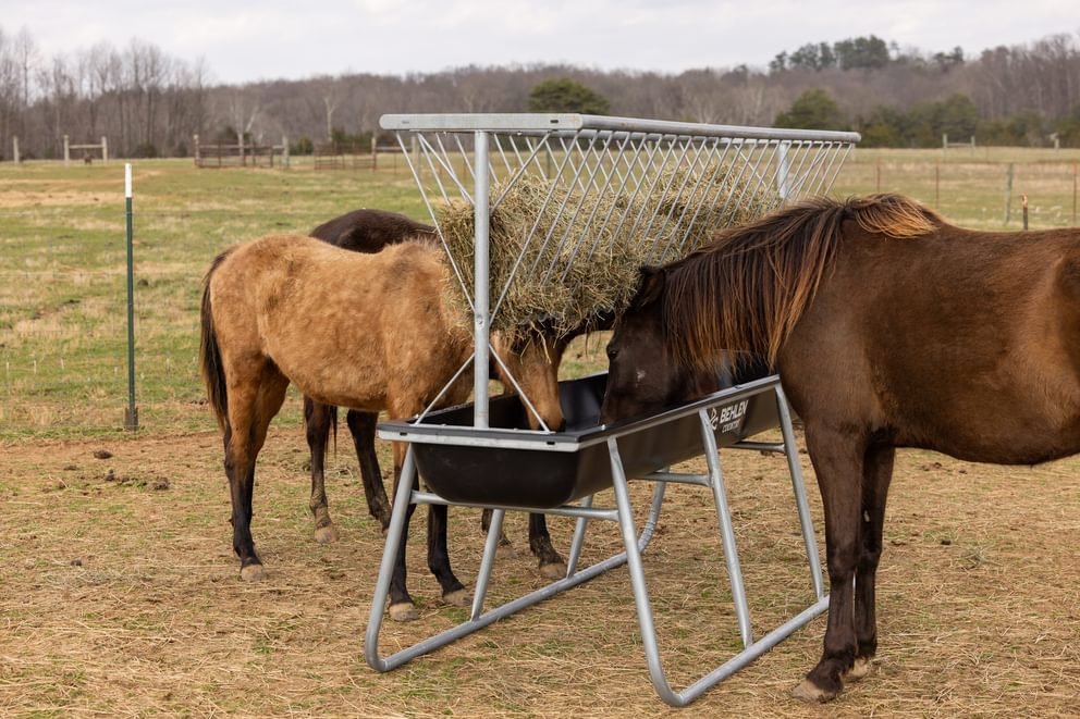 Bunk Feeders - Behlen Country Stockman Elevated Bunk Feeder - Behlen Country