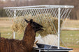 Bunk Feeders - Behlen Country Stockman Elevated Bunk Feeder - Behlen Country