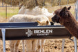 Bunk Feeders - Behlen Country Stockman Elevated Bunk Feeder - Behlen Country