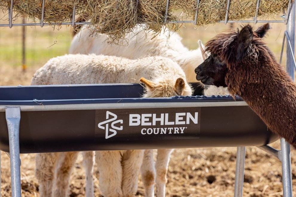 Bunk Feeders - Behlen Country Stockman Elevated Bunk Feeder - Behlen Country