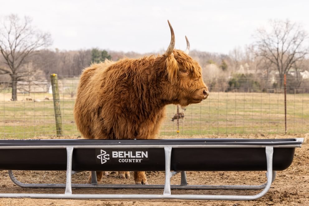 Bunk Feeders - Behlen Country Stockman Galvanized Bunk Feeder - Behlen Country