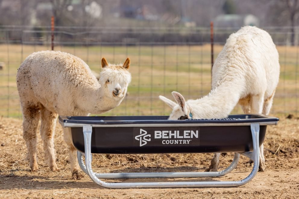 Bunk Feeders - Behlen Country Stockman Galvanized Bunk Feeder - Behlen Country