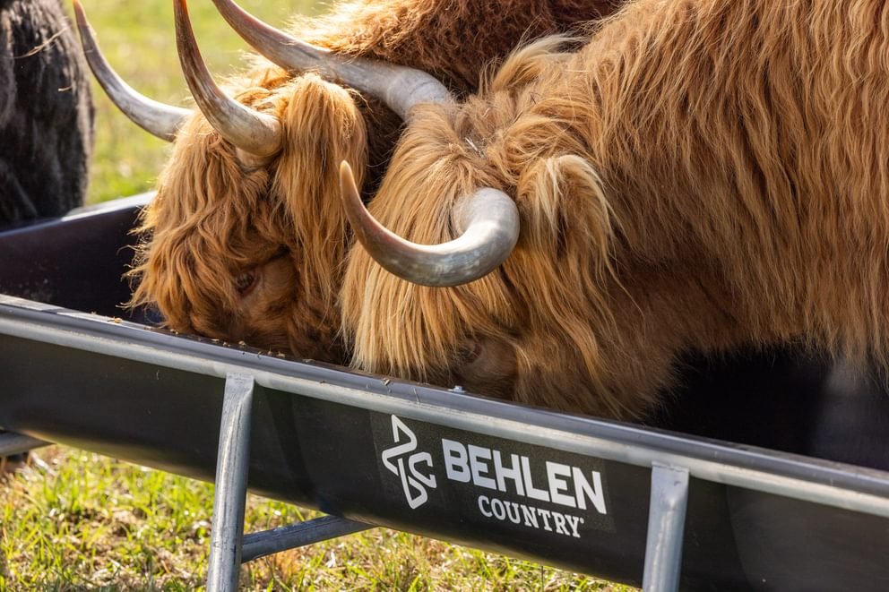 Bunk Feeders - Behlen Country Stockman Galvanized Bunk Feeder - Behlen Country