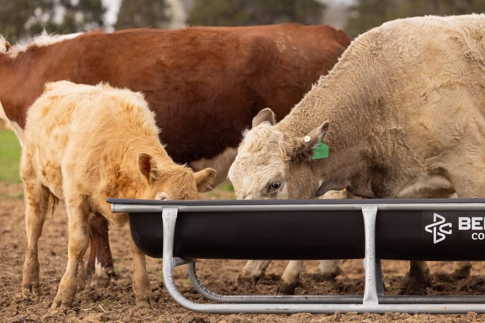 Bunk Feeders - Behlen Country Stockman Galvanized Bunk Feeder - Behlen Country