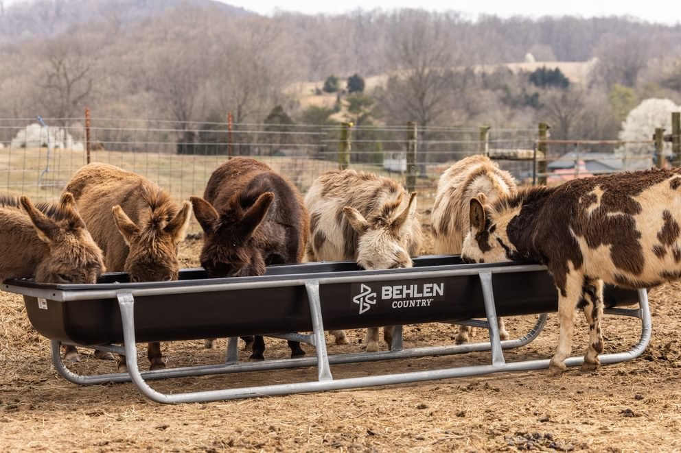 Bunk Feeders - Behlen Country Stockman Galvanized Bunk Feeder - Behlen Country