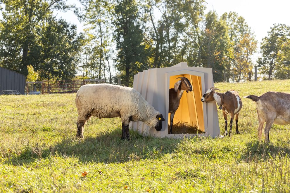 Small Animal Shelter - Behlen Country The Bungalow - Behlen Country
