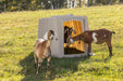 Small Animal Shelter - Behlen Country The Bungalow - Behlen Country