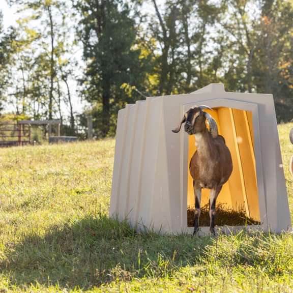 Small Animal Shelter - Behlen Country The Bungalow - Behlen Country