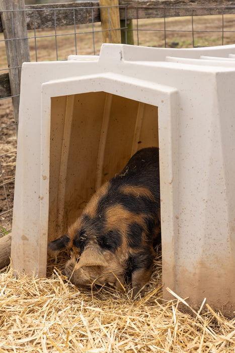 Small Animal Shelter - Behlen Country The Bungalow - Behlen Country