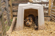 Small Animal Shelter - Behlen Country The Bungalow - Behlen Country