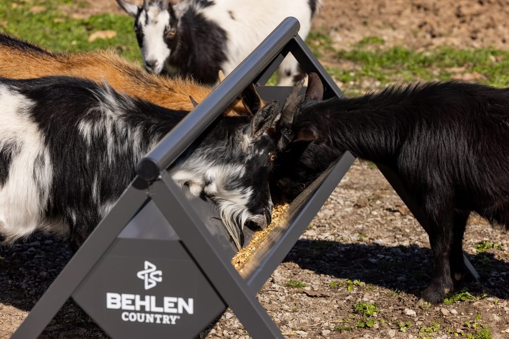 Livestock Feeders - Behlen Country The Commander Anti - Tip Feeder - Behlen Country