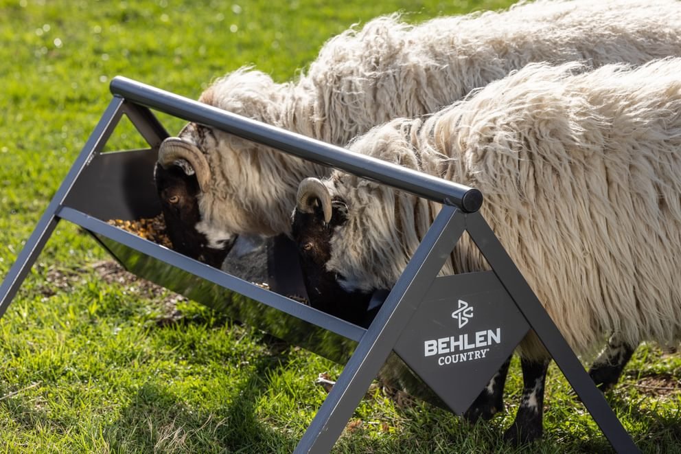 Livestock Feeders - Behlen Country The Commander Anti - Tip Feeder - Behlen Country